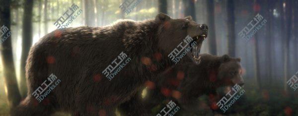 images/goods_img/20210312/3D bear FUR RIGGED ANIMATED/1.jpg